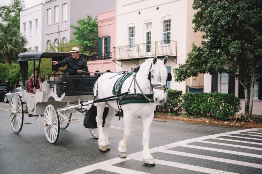 Charleston, SC: Private Daytime Horse-Drawn Carriage Ride - Price and value: $345 per group up to 4 seated