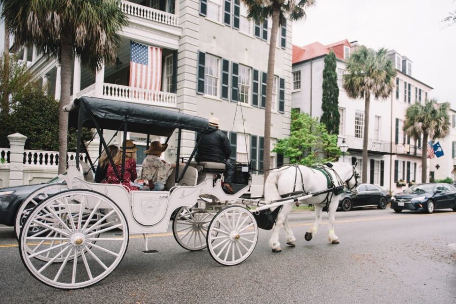 Charleston, SC: Private Daytime Horse-Drawn Carriage Ride - The one drawback to plan for: route zone expectations