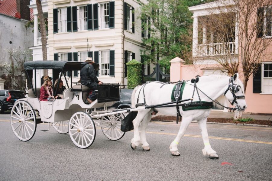 Charleston, SC: Private Daytime Horse-Drawn Carriage Ride - How private seating works for couples, families, and small groups