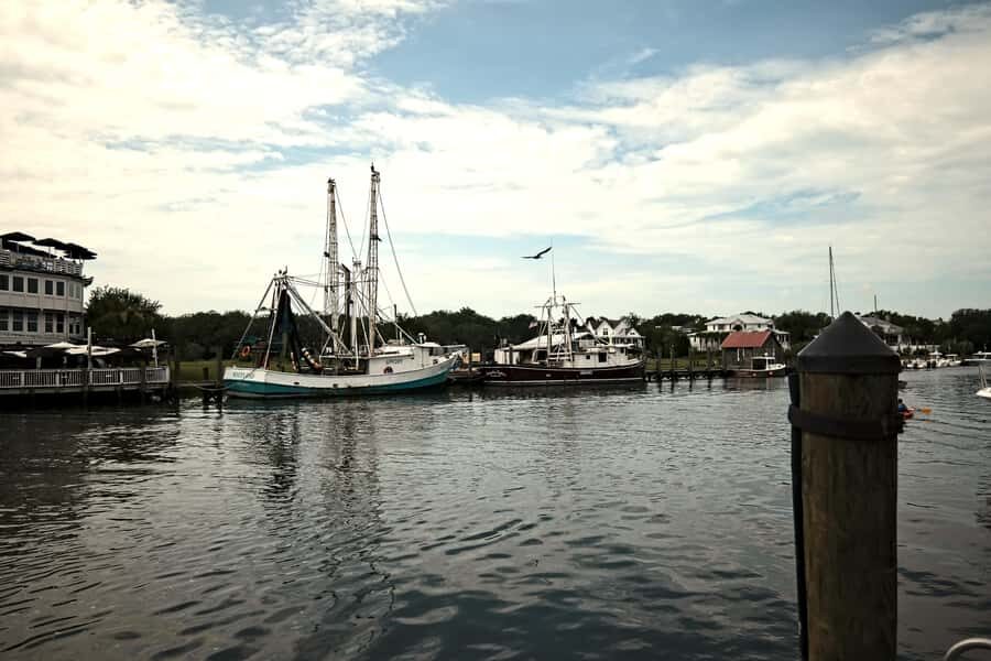 Charleston: Shem Creek Culture Tour - Marine life viewing: the creek as a living system