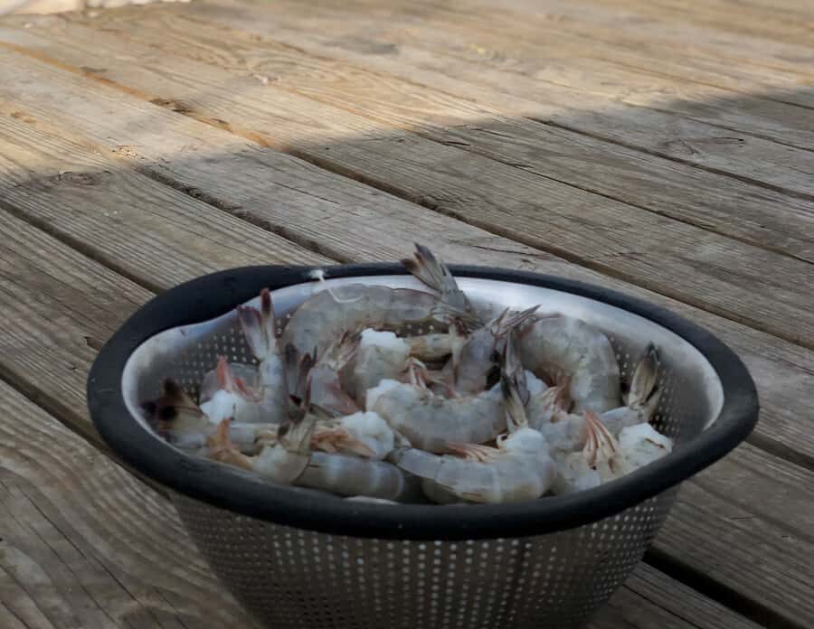 Charleston: Shem Creek Culture Tour - Captain Bryan sets the tone: funny, local, and practical