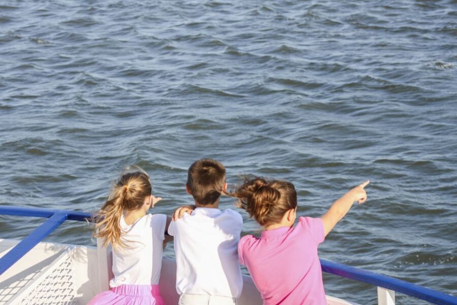 Charleston: Sightseeing Harbor Tour & Dolphin Watch - Comfort on board: what matters for a pleasant harbor hour