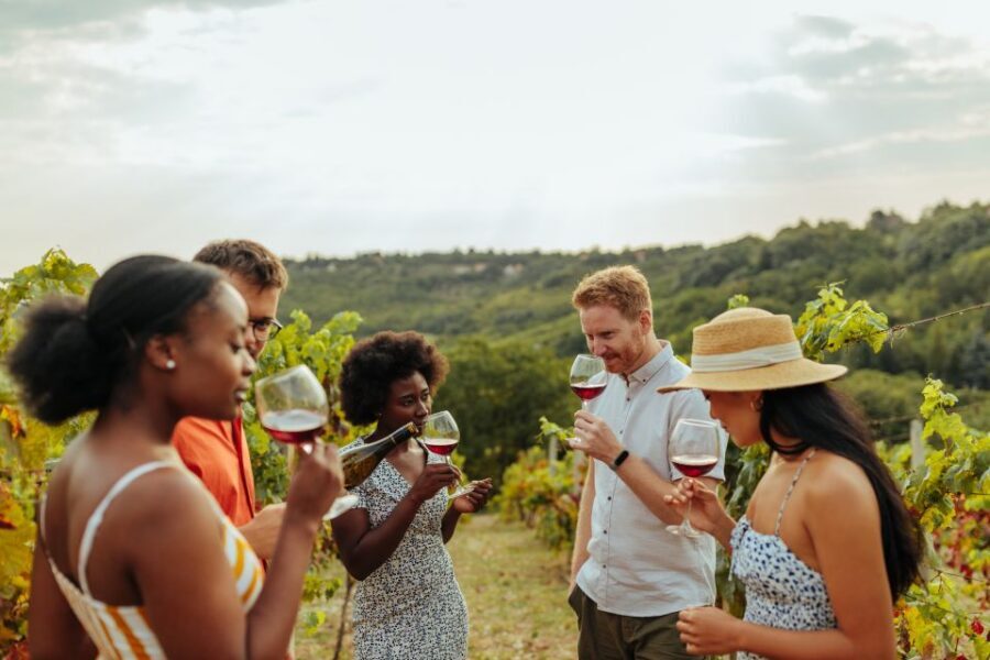 Charleston: Wadmalaw Island Wine Tasting and Tea Garden Trip - Key things that make this trip worth your time