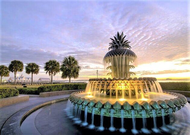 Charleston Water Taxi Cruise with Dolphin Sighting - How the stops are timed (and why that changes your day)