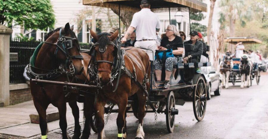 Charleston:Evening Haunted History Horse-Drawn Carriage Tour - City Market and the Four Corners of Law