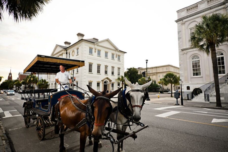 Charleston:Evening Haunted History Horse-Drawn Carriage Tour - Price and Timing: Is $51 for 45 Minutes Worth It?