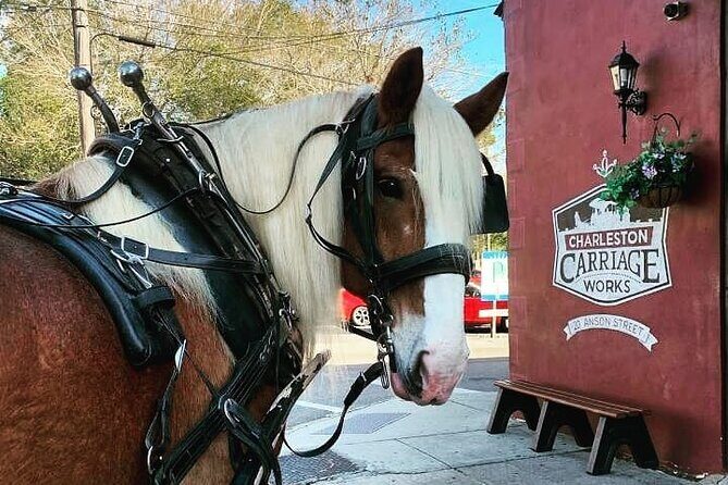 Charleston's Historic Residential Horse and Carriage Tour - Key things to know before you go