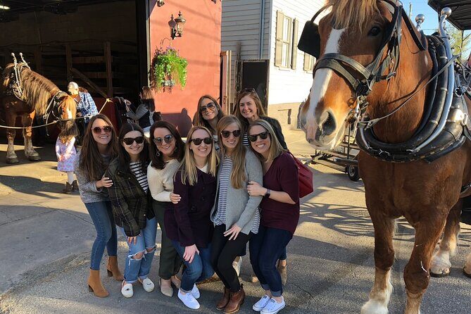 Charleston's Historic Residential Horse and Carriage Tour - Meeting the Horses at 20 Anson Street