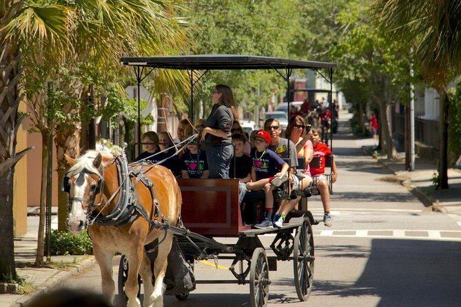 Charleston's Historic Residential Horse and Carriage Tour - The Carriage Route: Why Your Streets Might Feel Like a Surprise