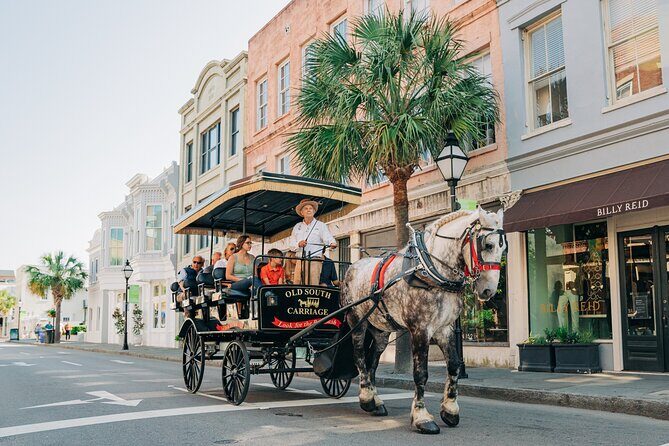 Charleston’s Old South Carriage Historic Horse & Carriage Tour - Comfort, Weather, and Practical Tips for a Smooth Hour