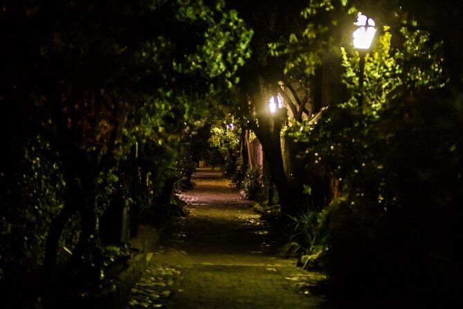 Dark Side of Charleston Guided Night-Time Walking Tour - A 90-Minute 18+ Night Walk Through Charleston’s Scandal Pages