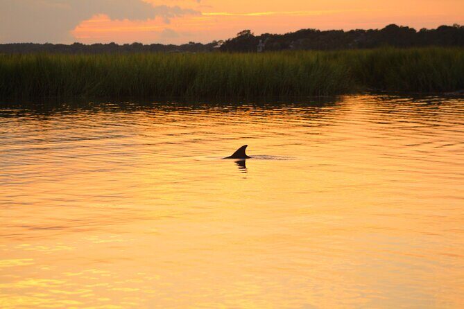 Folly Beach Dolphin Viewing Boat Excursion and Estuary Tour - Folly Beach Dolphins: Why This Short Trip Feels Like a Big Win
