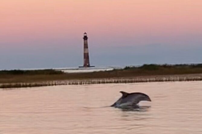 Folly River Dolphin Adventure (options for private or public) - Wildlife spotting isn’t random here: dolphins and birds on the same route