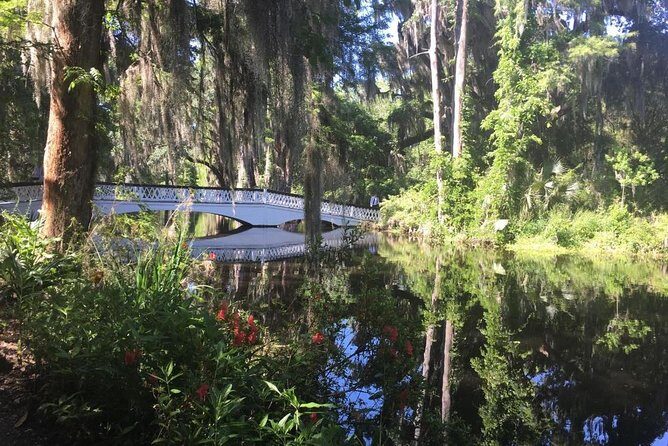 Magnolia Plantation Admission & Tour with Transportation from Charleston - Audubon Swamp Gardens on a Narrated Tram (Wildlife Time)
