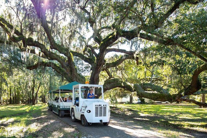 Magnolia Plantation Day Tour with Transportation - Magnolia Plantation in one sentence: beauty plus big context