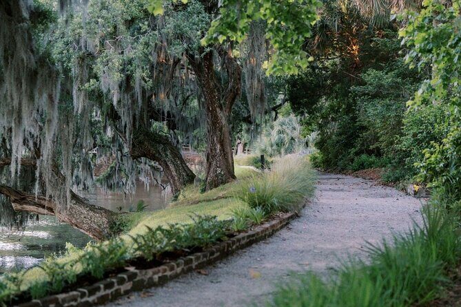 Magnolia Plantation Day Tour with Transportation - Audubon Swamp Garden and the Wildlife Center: where the walk actually pays off