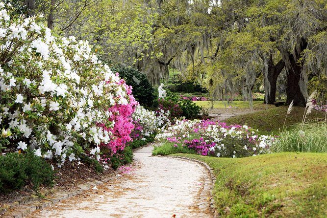 Middleton Place Admission with Self Guided Tour and Lunch - Passing Magnolia Plantation on the Way: A Quick Regional Context Stop