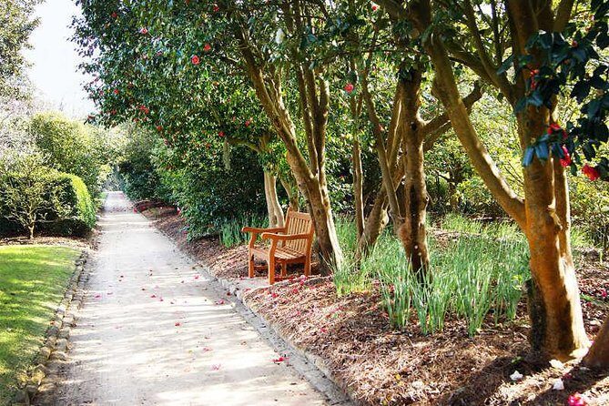 Middleton Place Admission with Self Guided Tour and Lunch - What the Tour Team Adds: Drivers, Guides, and a Calm Small-Group Feel