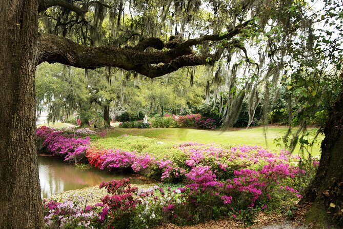 Middleton Place Tour with Lunch and Small Group Transportation - The Van Ride: Small-Group Comfort and On-the-Way Storytelling