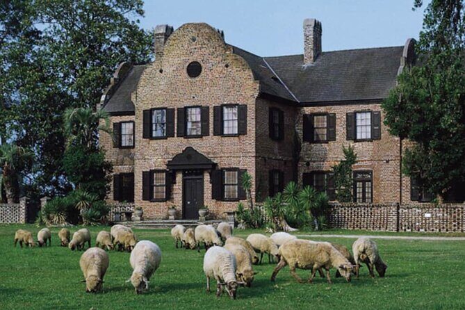 Middleton Plantation-3 hour guided tour- hotel pickup-admission - Landmarks on the way: Rainbow Row, the High Battery, and more