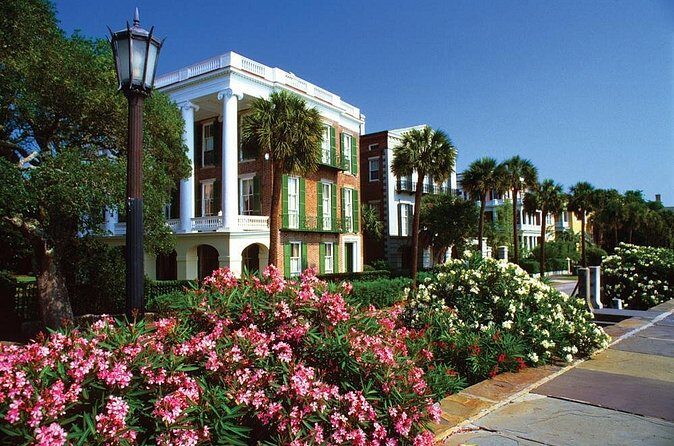 Private Charleston Walking History City Tour - Meeting at Wragg Square: a simple start with a clear end