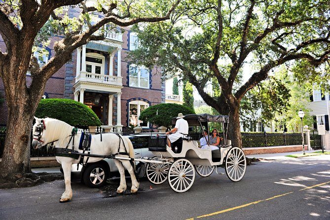 Private Daytime Horse-Drawn Carriage Tour of Charleston - Comfort, timing, and weather: what changes your experience most