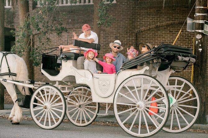 Private Daytime Horse-Drawn Carriage Tour of Charleston - Who should book this private carriage tour (and who should think twice)