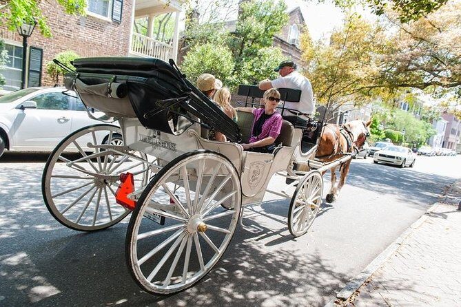Private Daytime Horse-Drawn Carriage Tour of Charleston - Should you book Palmetto Carriage Works’ private Charleston carriage?