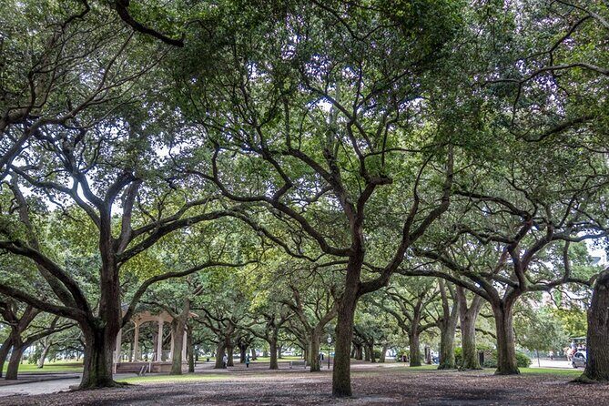Private Historic Horse & Carriage Tour of Charleston - Is $300 worth it? How the price works for real groups