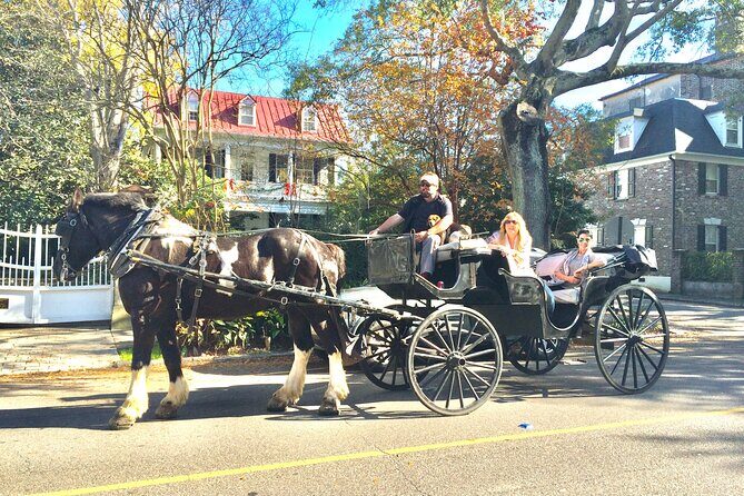 Private Historic Horse & Carriage Tour of Charleston - Why this feels like more than a scenic loop