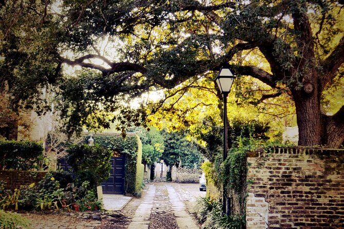 Small Group Historic Charleston walking Tour - Walking Smart: Why 90 Minutes Can Feel Like Two