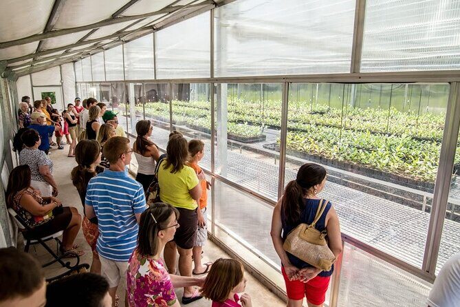 Trolley Tour in Wadmalaw Island of South Carolina - Guides Matter: Informative, Practical, and Helpful in Hot Weather