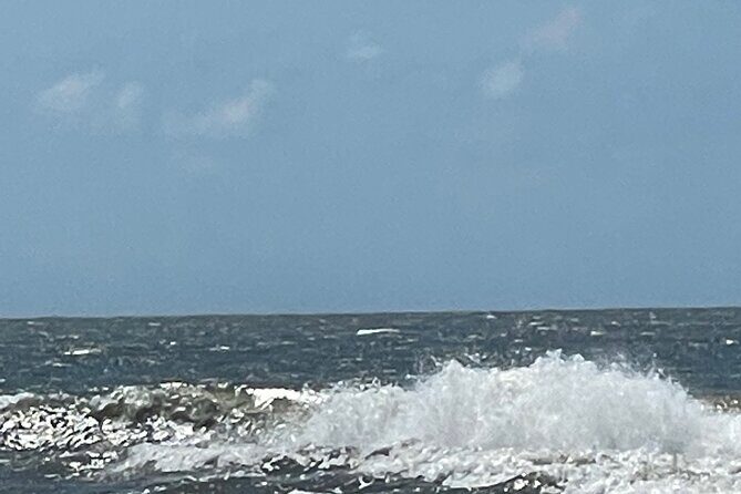 White point Battery and River Run through Charleston Harbor Boat - Up the Wando River: Ravel Bridge and Waterfront Views