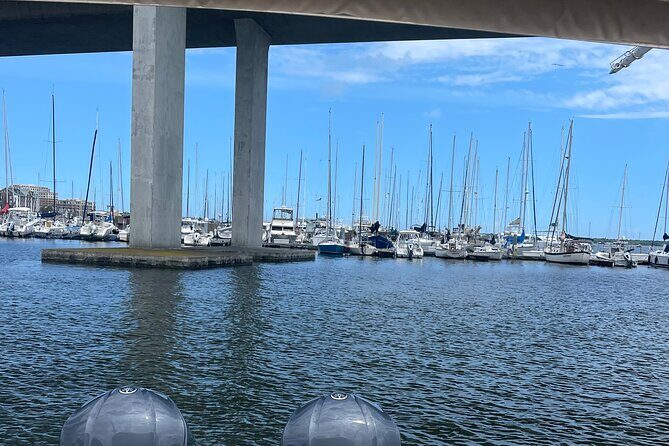 White point Battery and River Run through Charleston Harbor Boat - Getting On Board at Ashley Marina (Slip D-29)