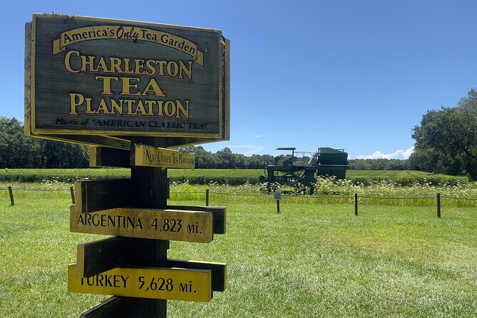 Wine Sippin'-Tea Drinkin'-Tree Huggin' Lowcountry Sightseeing - Meeting at 375 Meeting St and How the Day Flows